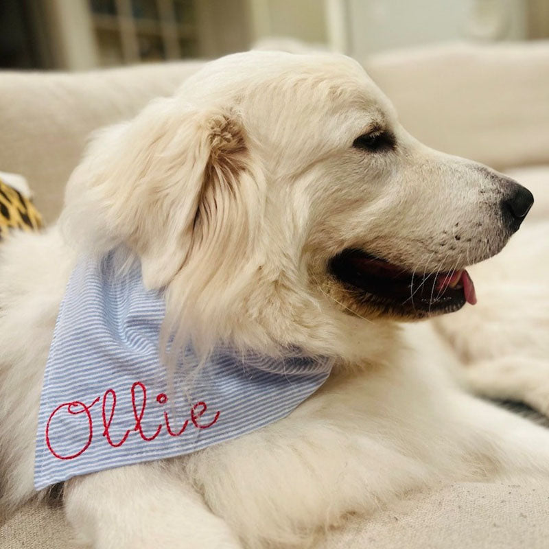 Embroidered Personalized Dog Bandana  Custom Tie On