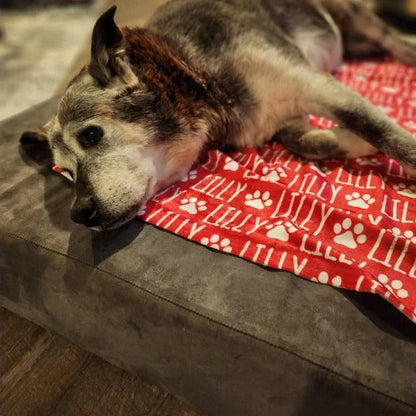 Custom Dog or Cat Name Blanket