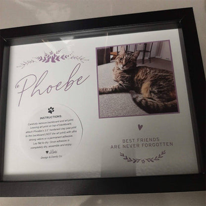 Pet Memorial Paw Print Holder Shadow Box