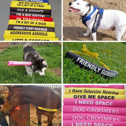 Personalized dog lead sleeve, custom made, color of your choice and custom text