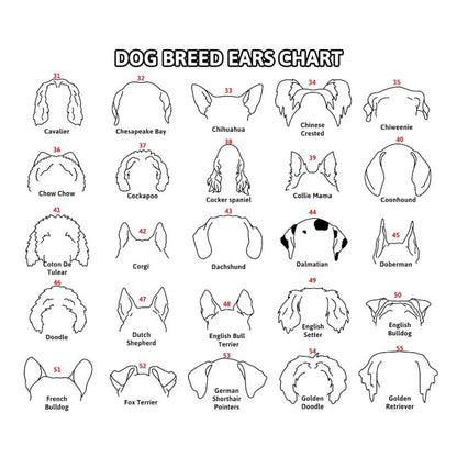 Custom Memorial Dog Ears Art, Collar Sign, Dog Memorial