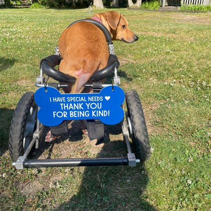 Sign for Special Needs Dogs Pet