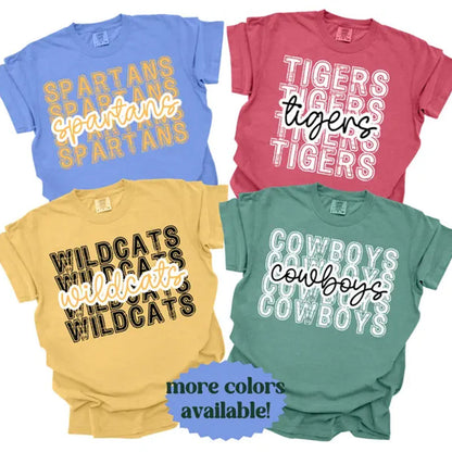 School Team Name Shirts, custom mascot shirts