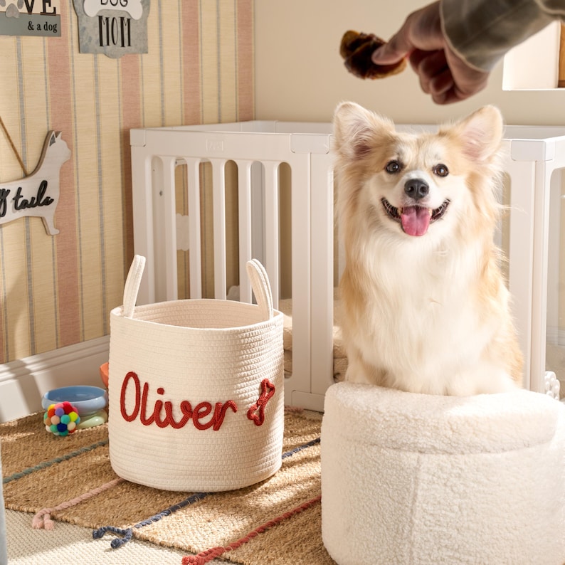 Personalized Basket | Pet Toy Box | Dog Toy Basket