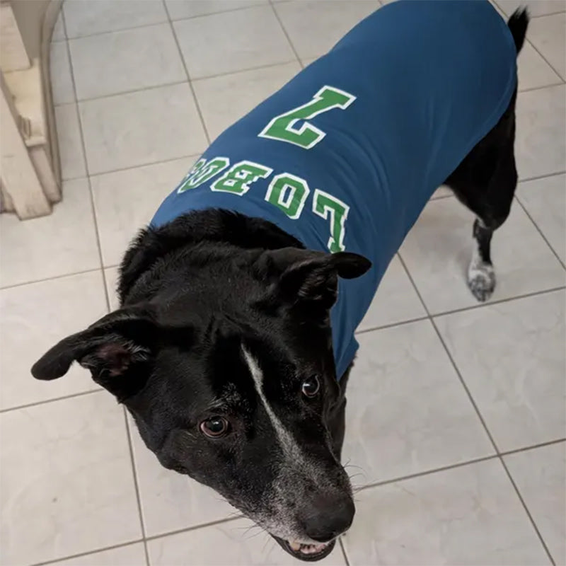 Custom Dog Jersey with Logo Personalize with Name
