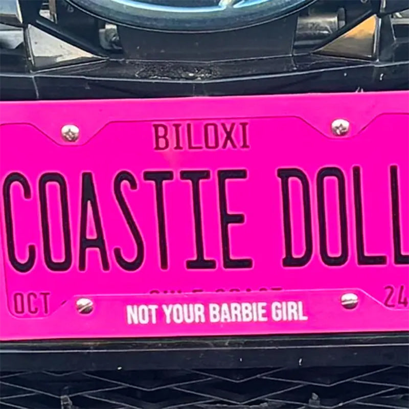Customized Any Style License plate Any Color Any Text Design