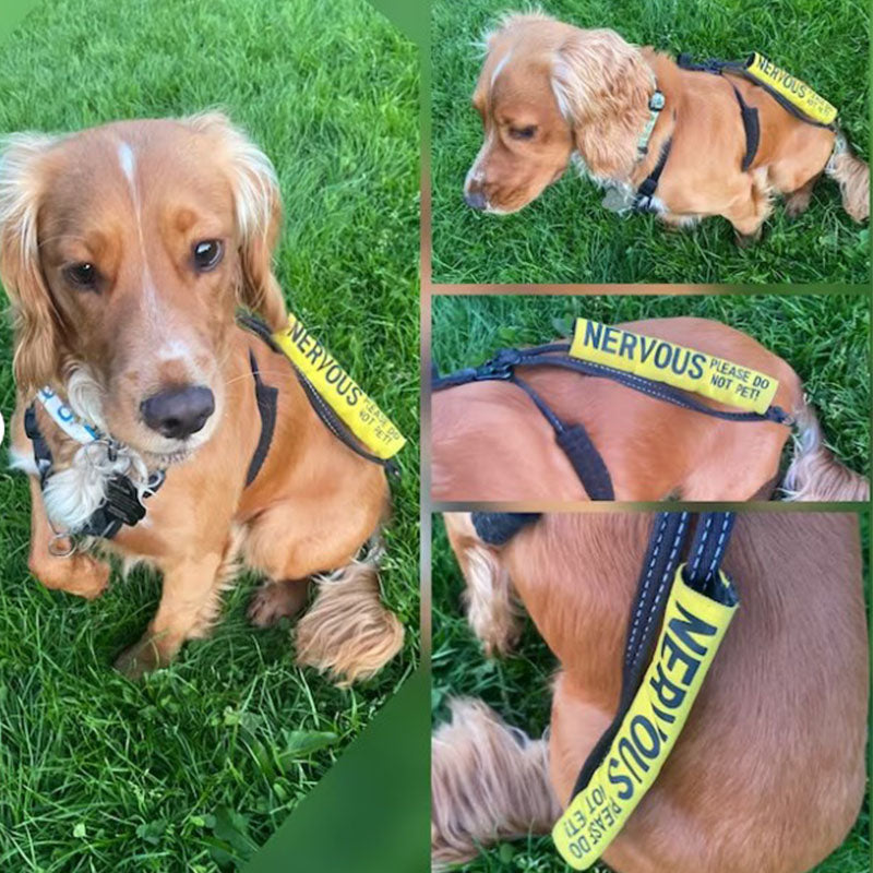 Personalized dog lead sleeve, custom made, color of your choice and custom text
