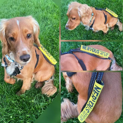 Personalized dog lead sleeve, custom made, color of your choice and custom text