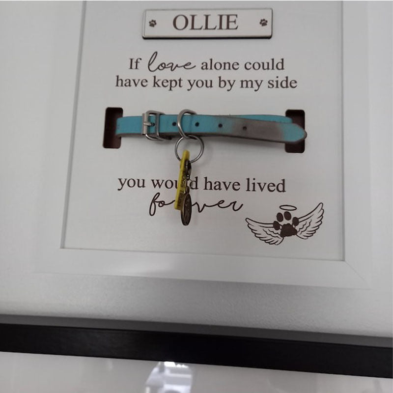 Personalised In loving memory Dog Collar Box Frame - Pet Memorial - Rainbow Bridge - Pet Loss Gift