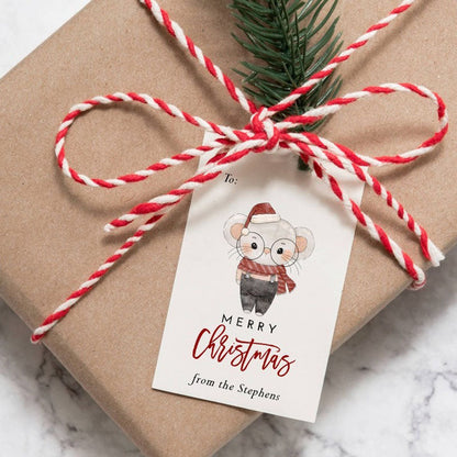 Personalized Christmas Tags  (twine/string not included)