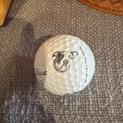 Pet Golf Ball Stamp, Photo Golf Stamp, Custom Ball Marker