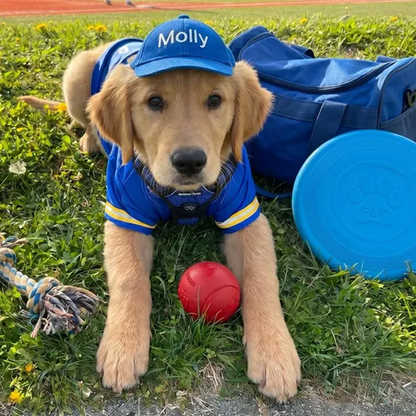 Custom Dog Hat with Embroidered Name,Pet Baseball Cap with Ear Holes