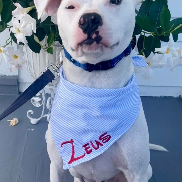 Embroidered Personalized Dog Bandana  Custom Tie On