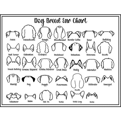 Dog Sweatshirt with Dog Ear and Name on sleeve