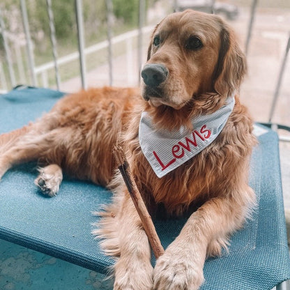 Embroidered Personalized Dog Bandana  Custom Tie On