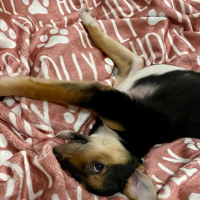 Custom Dog or Cat Name Blanket