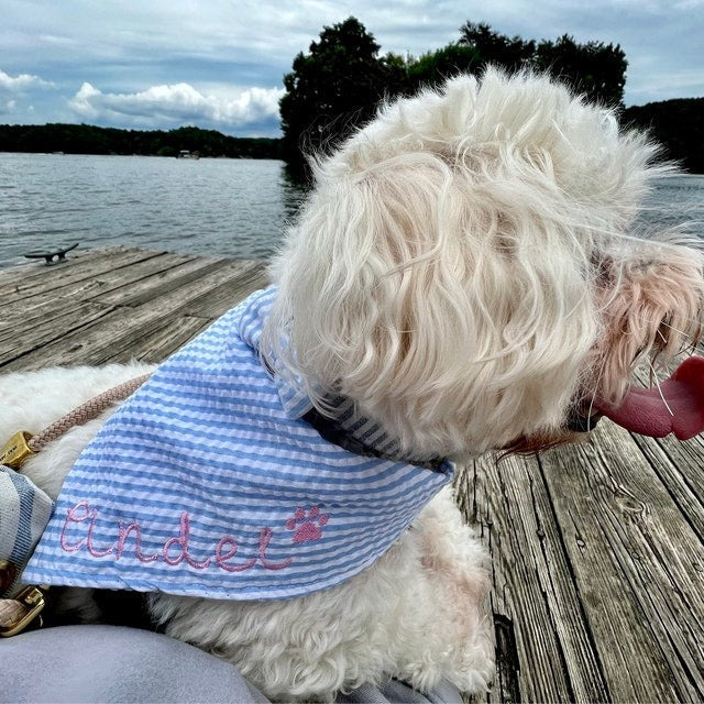 Embroidered Personalized Dog Bandana  Custom Tie On