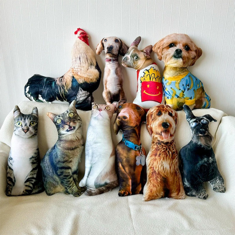 Custom pet pillow，Printed Pet Pillow