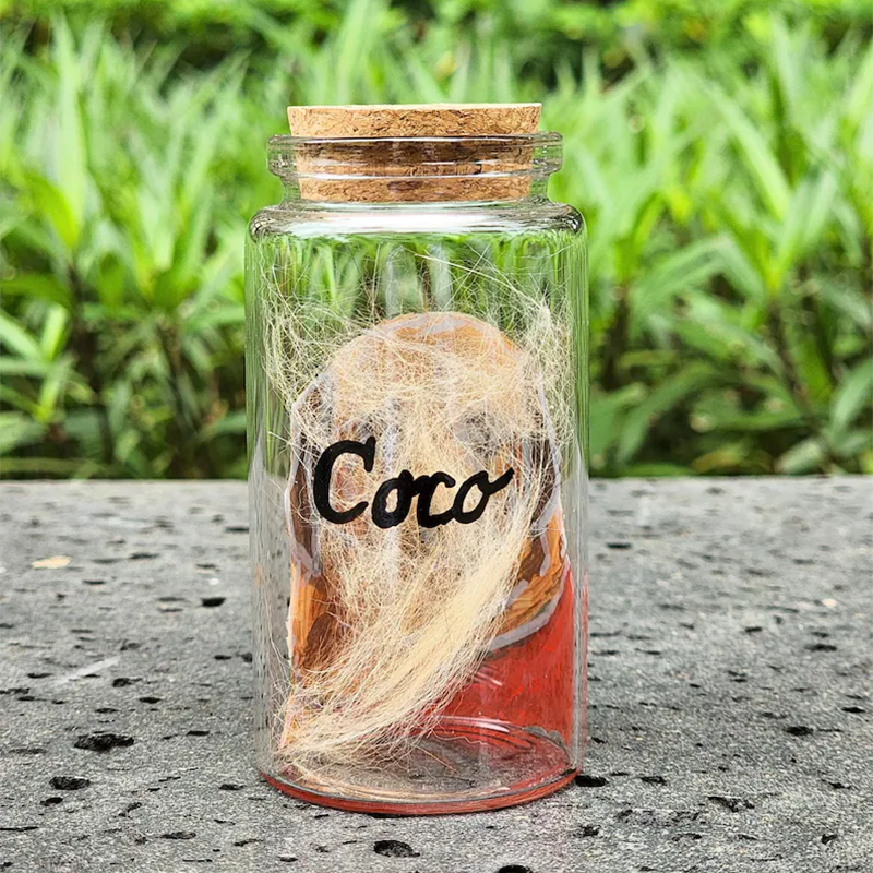 Hand Painted Pet Portrait Fur Keepsake, Custom Pet Hair Memorial Jar
