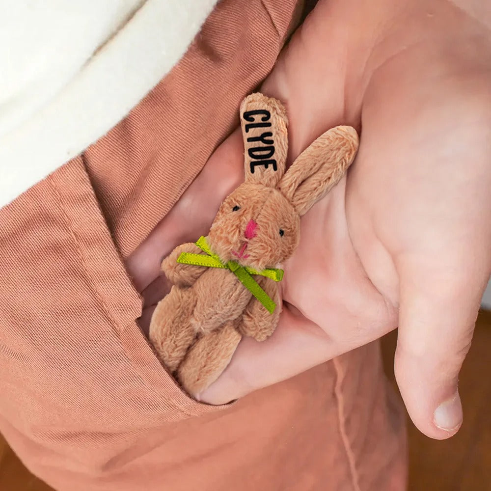 Personalized Easter Cute Tiny Plush Pocket Hug Bunny