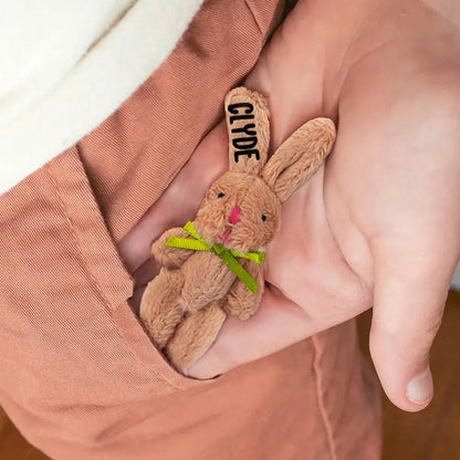 Personalized Easter Cute Tiny Plush Pocket Hug Bunny