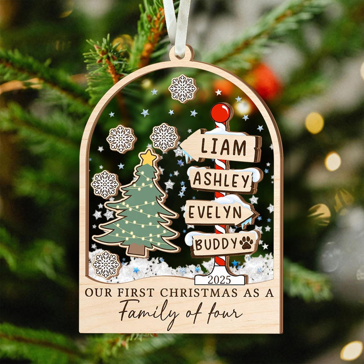 Personalized Family Christmas Ornament: Acrylic Shaker Ornament