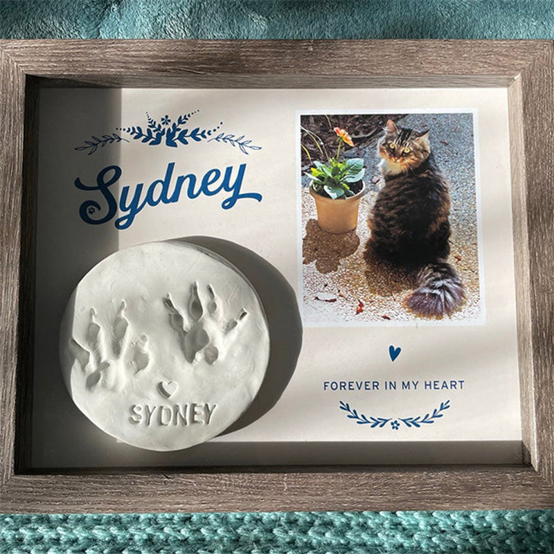 Pet Memorial Paw Print Holder Shadow Box