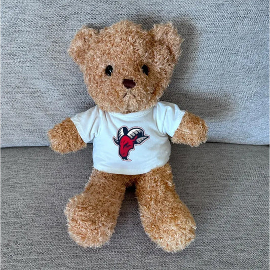 Custom College Apparel, Teddy Bear with Tee Shirt, Logo Graduation Gift