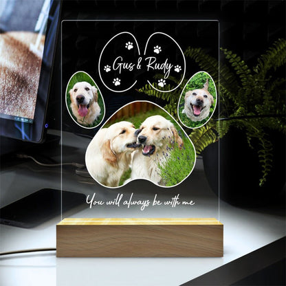 Pet Memorial Night Light, Custom Pet Plaque, Pet Night Light