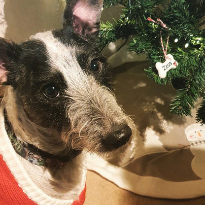 Dog Christmas decoration, personalised Christmas decoration