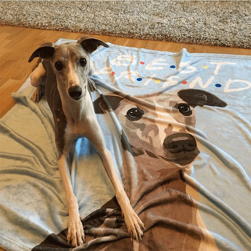 Pet Memorial Gifts Custom Printed Blanket-Photo Blanket Dog Blanket