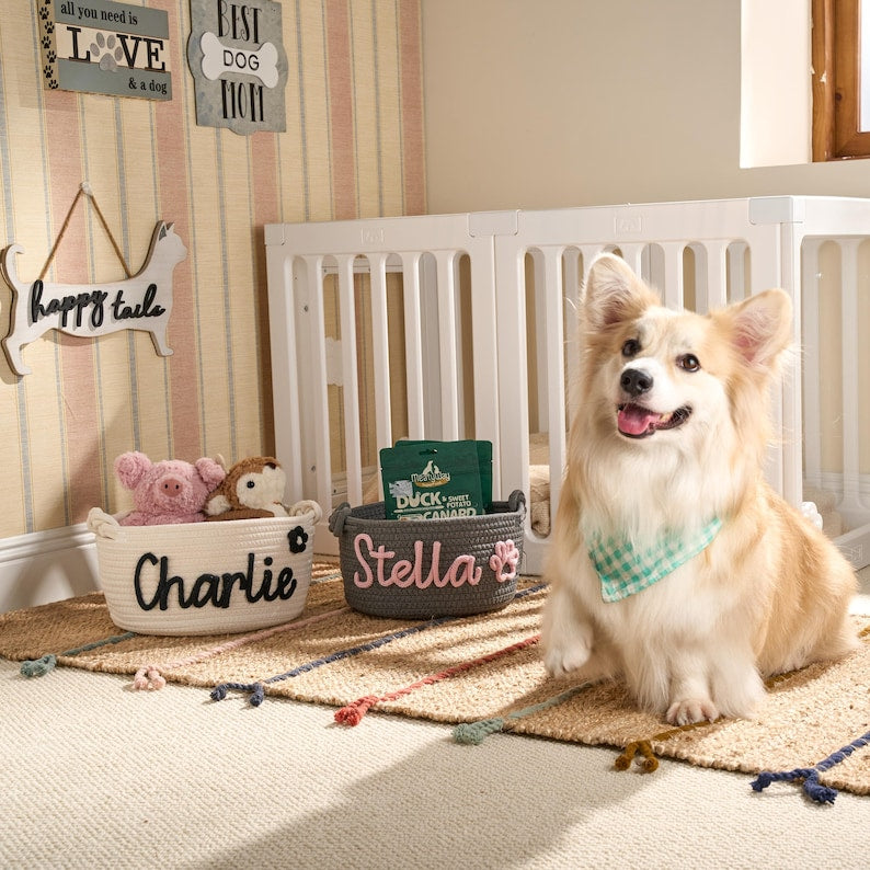 Personalized Basket | Pet Toy Box | Dog Toy Basket