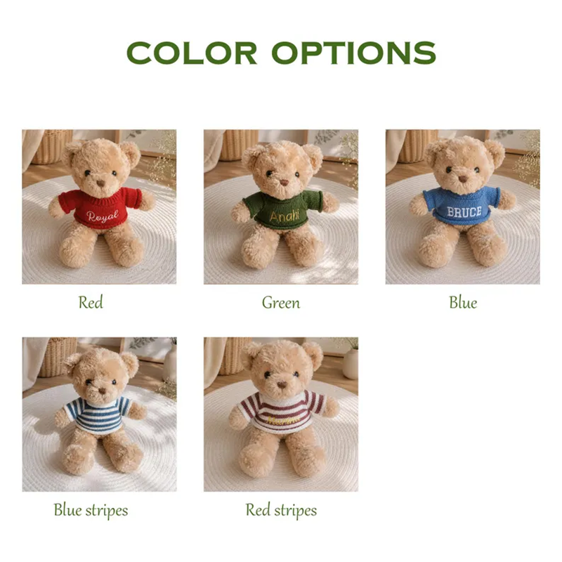 Embroidered Name Teddy Bear,Personalized Stuffed Animal