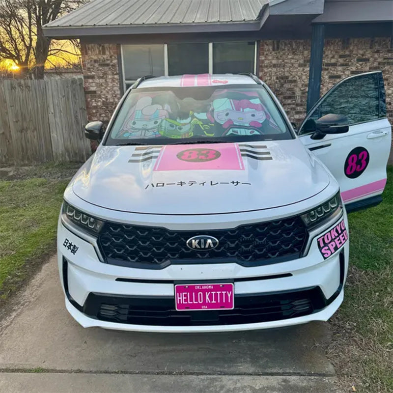 Customized Any Style License plate Any Color Any Text Design