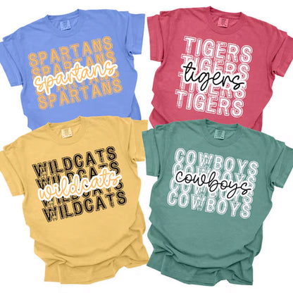 School Team Name Shirts, custom mascot shirts