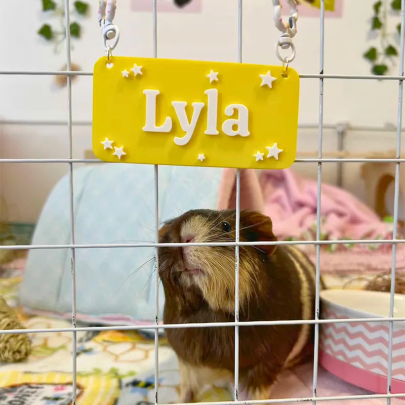 Custom Small Pet Cage Name Tag For Guinea Pigs, Rabbits, Hamsters