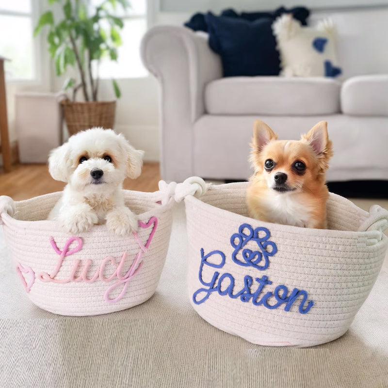 Personalized Cat toy basket Custom kitten treat bin