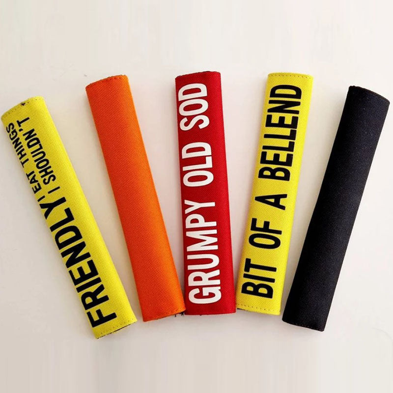 Personalized dog lead sleeve, custom made, color of your choice and custom text