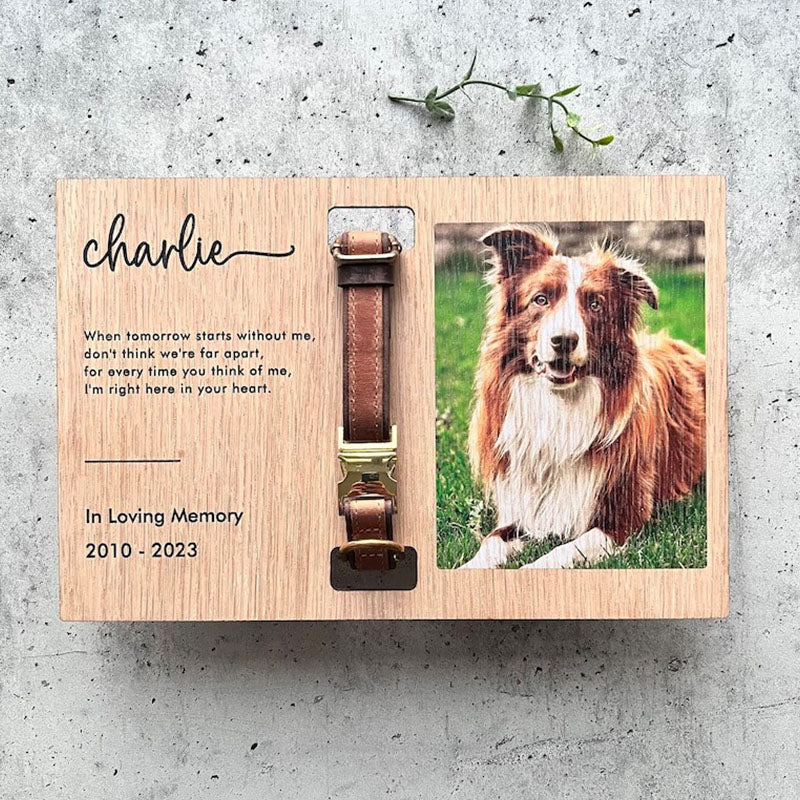 Memorial Pet Collar Frame, Pet Loss Gift, Memorial Pet Collar With Photo