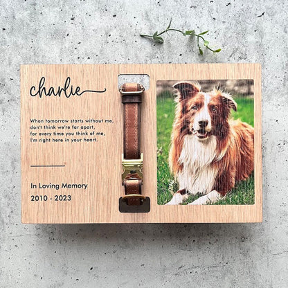 Memorial Pet Collar Frame, Pet Loss Gift, Memorial Pet Collar With Photo