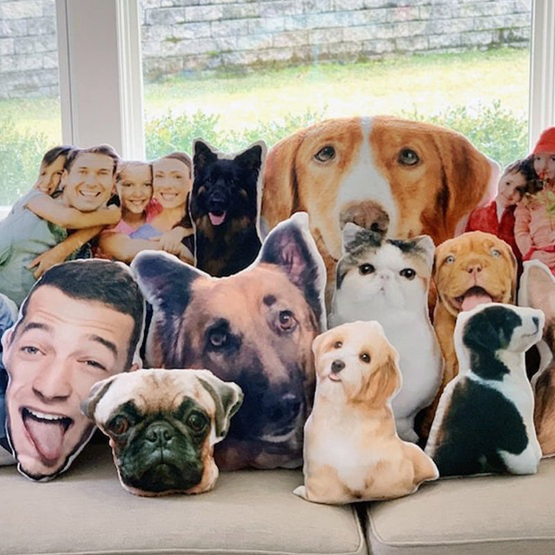 Custom pet pillow，Printed Pet Pillow