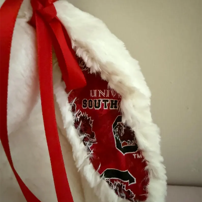 Graduation Bunny  Custom Collegiate Bunny: College Acceptance
