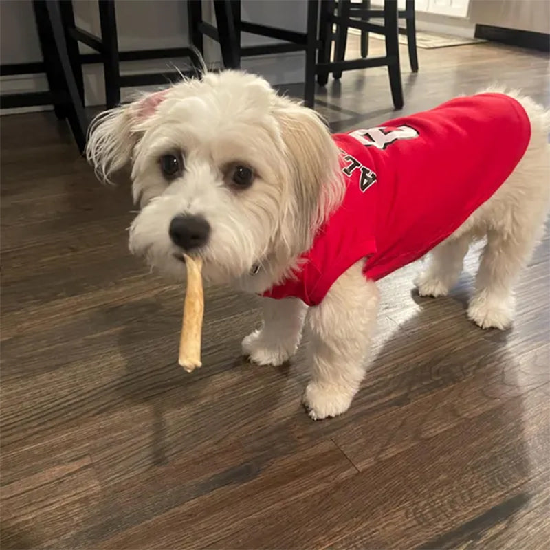 Custom Dog Jersey with Logo Personalize with Name