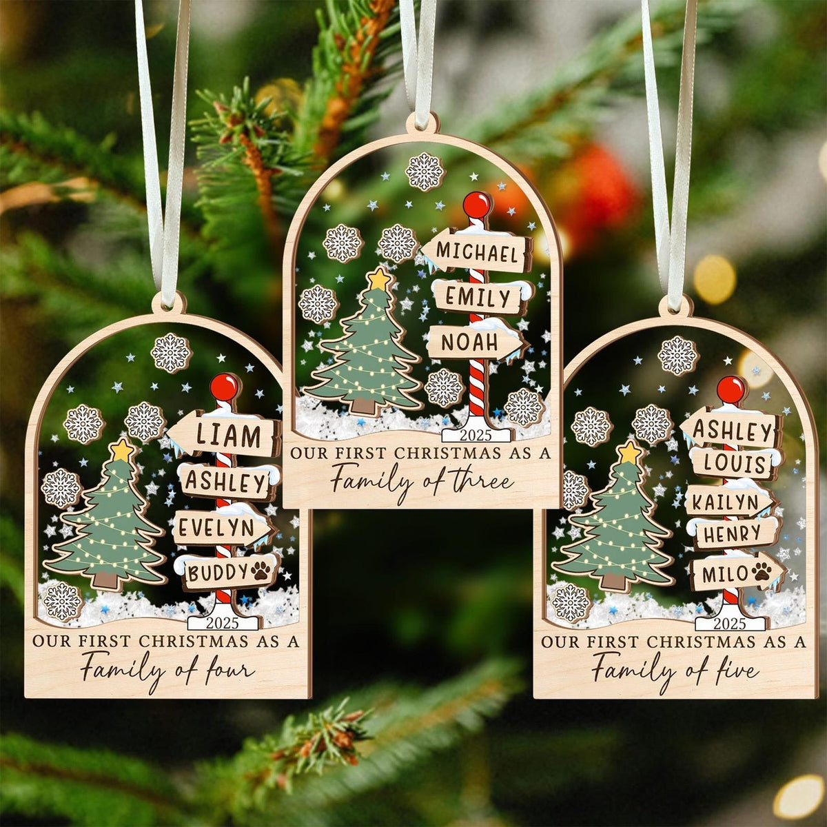 Personalized Family Christmas Ornament: Acrylic Shaker Ornament