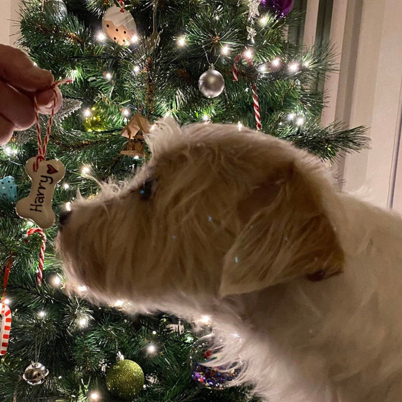 Dog Christmas decoration, personalised Christmas decoration
