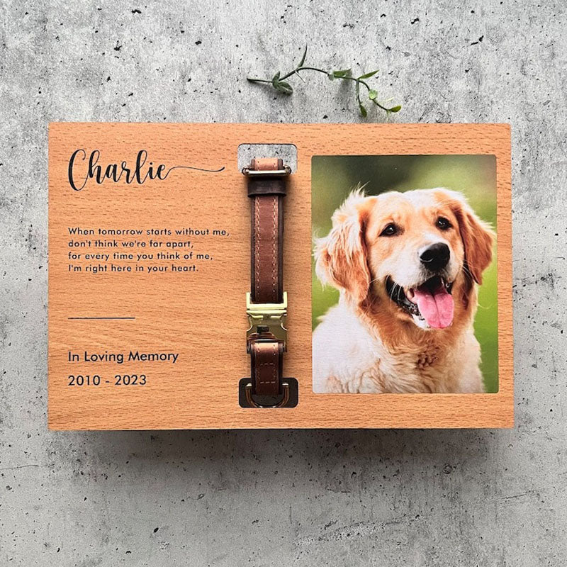 Memorial Pet Collar Frame, Pet Loss Gift, Memorial Pet Collar With Photo