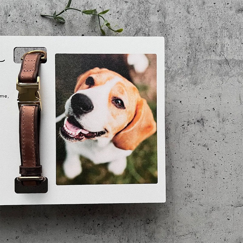 Memorial Pet Collar Frame, Pet Loss Gift, Memorial Pet Collar With Photo