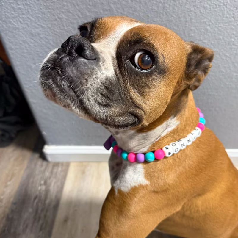 Custom beaded dog collar cute silicone bead accessories