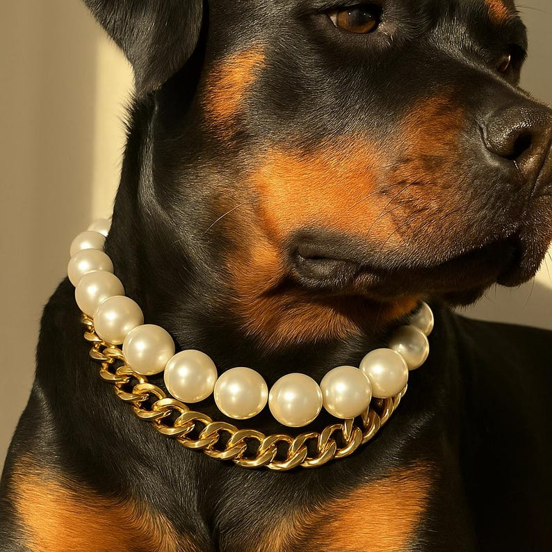 PersonalizedCustom Dog Necklace, Luxury Pet Jewelry