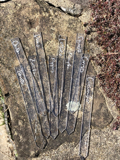 Laser Engraved Clear Veggie/Herb Garden Tags Packs